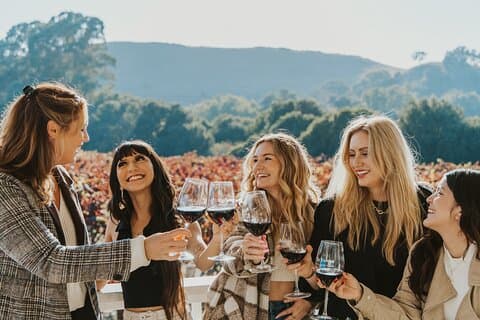 Napa and Sonoma Wine Tour from San Francisco