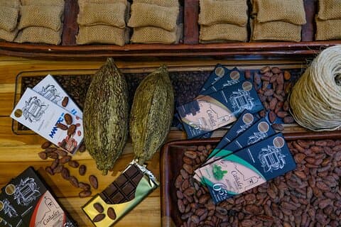 The ultimate Cocoa farm experience