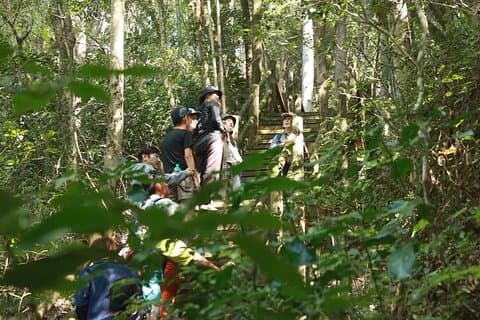Privater 3-stündiger Besuch im Ukiha-Wald mit Yoga-Aktivität