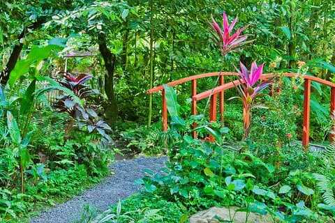 セントルシア植物園と滝のプライベート ツアー