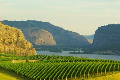 Halbtägige private Lake Country-Weintour ab Kelowna