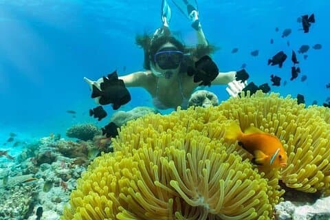 Tour privato di snorkeling