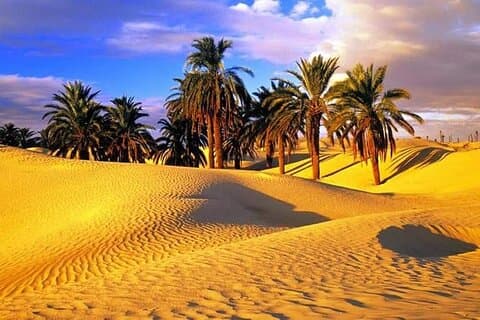 Sahara Tunecino: 3 Días 2 Noches Douz y Tozeur