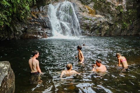 Sinharaja Rainforest Private Half Day Tour with Licensed Guide
