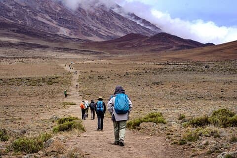 7 dages Kilimanjaro-bjergvandring med professionel guide