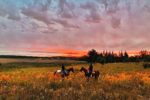 Champagne and Charcuterie Sunset Trail Ride