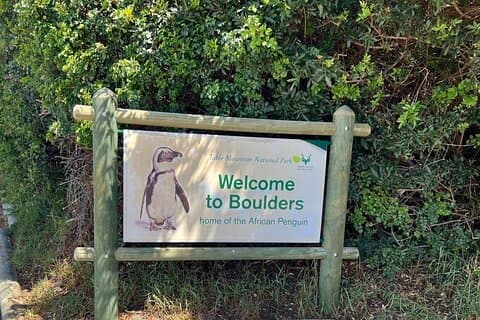 Expédition d'une journée au Cap de Bonne et à la colonie de pingouins au départ du Cap