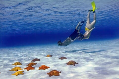 El Cielo Cozumel Snorkel Private Boat + Food + Drinks + Beach