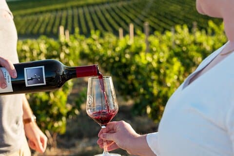 A Truly Barossan Wine Experience - High-End Private Day Tour