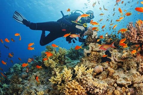 Actividad de buceo de medio día en Alanya