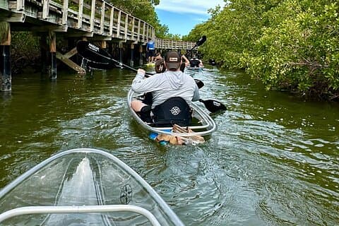 Clear Kayak Ecotour em Robinson Preserve em Bradenton, Flórida