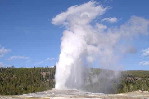 Yellowstone National Park - Private Lower Loop Wildlife Adventure