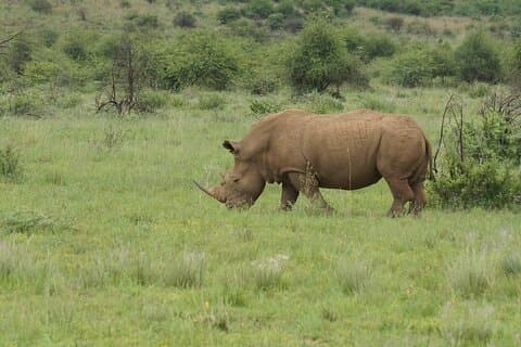Safari privato di 2 giorni a Mid Range a Tarangire e Ngorongoro
