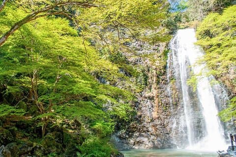 Nature Walk på Minoo Park, den beste naturen og fossen i Osaka