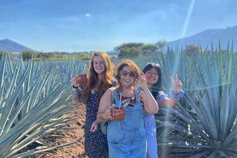 Excursión de un día a Tequila Pueblo Mágico desde Puerto Vallarta
