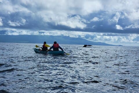 Kayak and Snorkeling Tour-Olowalu Maui