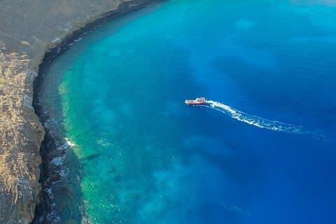 Excursion de plongée avec tuba dans le cratère Molokini 2 - Heure 10 : 30am Début