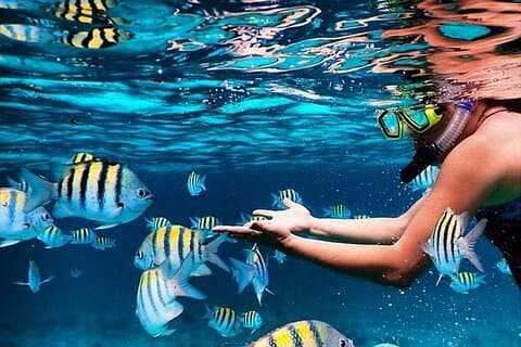 Familie Fun-Snorkelen met Lunch Stop van Montego Bay