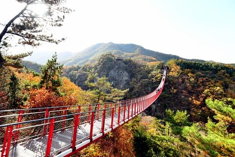 Seoul DMZ Tour met 3e Tunnel en Rode Hangbrug