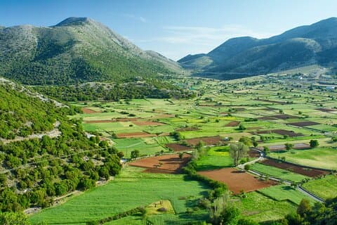 Tour privado de vinos, cata de aceite de oliva y cerámica desde Heraklion