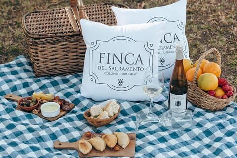 Vinresa till Colonia Del Sacramento i Finca del Sacramento