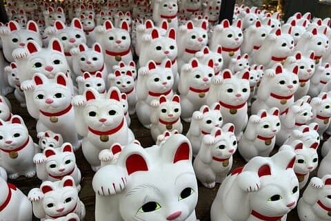 Tokyo : Passeggiata nella cultura di Gotokuji & Esperienza al tempio del gatto fortunato