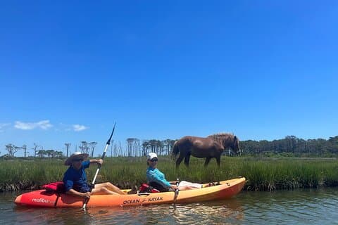 Double Sit on Top Kayak Rental at Assateague Island, MD
