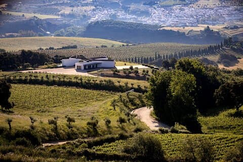 Ökologische Tour durch das Weingut in Ronda mit Verkostung