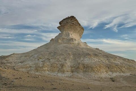 West Coast Qatar and Al Sheehaniyah Camel Racetrack Private Tour