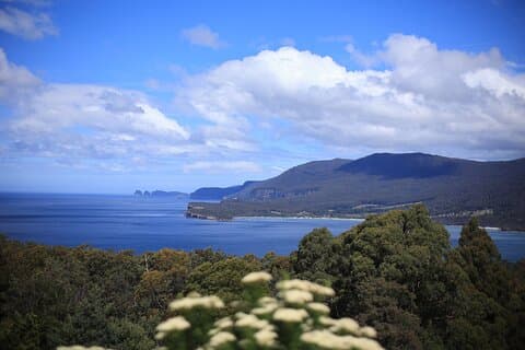 Tasman Peninsula Small-Group Guided Tour From Hobart