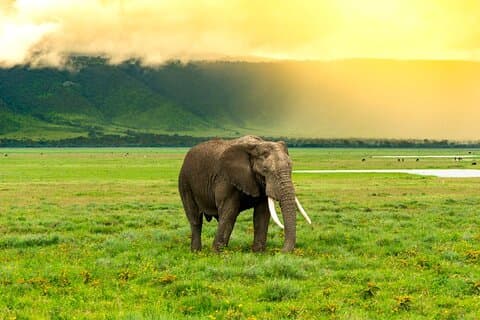 ザンジバル・タンザニア8日間サバンナから海岸までの旅