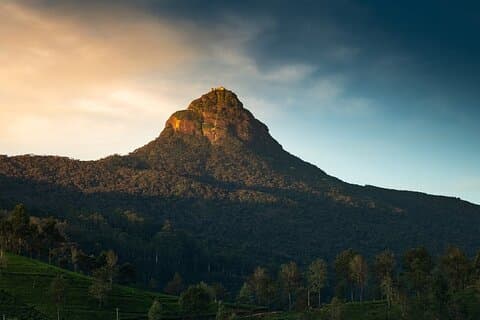 Adams Peak til Colombo Lufthavn Afgangstransfer