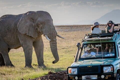 Visite d'une journée du parc national Amboseli et du mont Kilimandjaro
