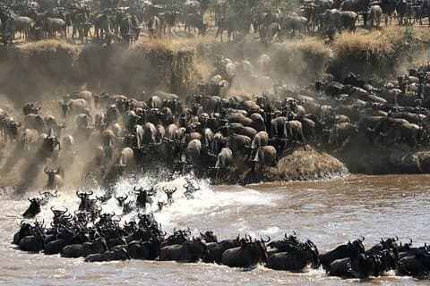 Safari de 4 días y 3 noches en Serengeti, Ngorongoro y Tarangire