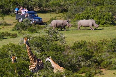 2-daagse kleine groepstuinroute Big 5 Safari Tour vanuit Kaapstad