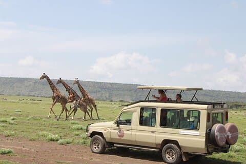 6 dages Serengeti Safari (vandrevandfald og kaffetur)