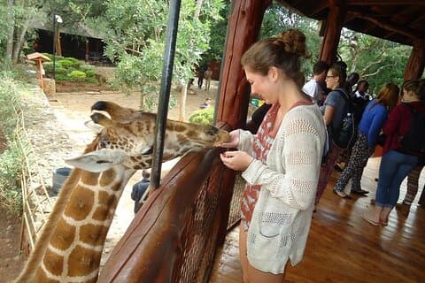 Giraffe Center, Nairobi National Museum and Kobe Beads Center