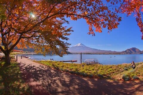 Mt. Fuji Tour: 5th Station Arakurayama Sengen Park & Matcha Tokyo