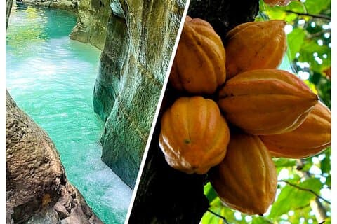 Tour privato Cascate di Damajagua e sapori dominicani