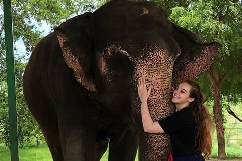 Sanctuaire privé d'éléphants
