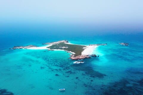 Visite partagée des îles Daymaniyat d'Oman