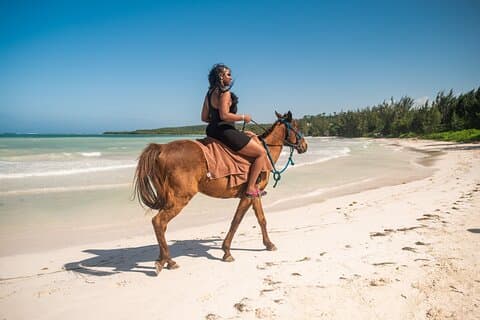 Passeio a cavalo e natação em Montego Bay