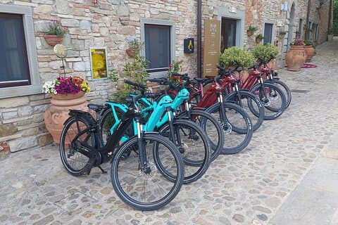 Umbria E-Bike Slow Experience Sculptures, Museums and Jazz Wine Tour