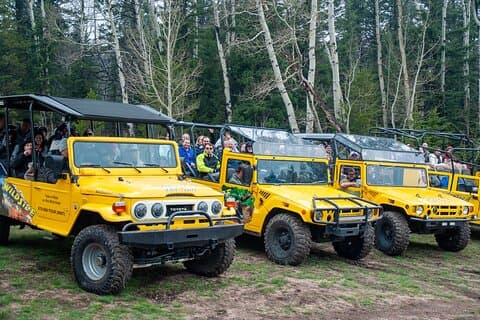 Tour Panorámico en Pico (Wildside 4x4 Tours)