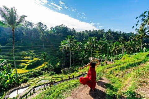 Bali Shore Excursion: Best av Ubud på en dag og tilpasset tur
