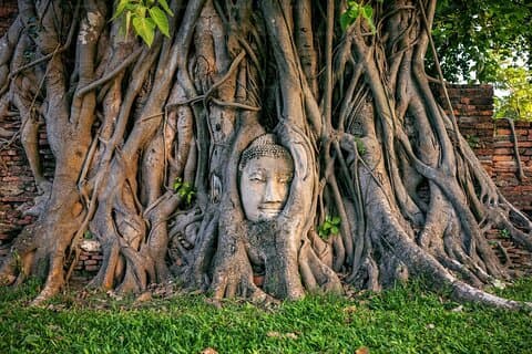 Ayutthaya topp attraksjon og naturskjønne båttur fra jernbanestasjonen