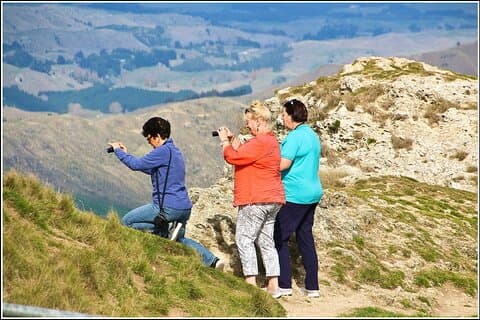 Hawkes Bay - Scenic, luncheon, wine Tour