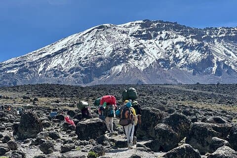 7-dagers Kilimanjaro Trekking Machame-rute