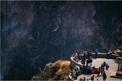 Utforsk Colca Canyon fra Arequipa 2 dager og 1 natt