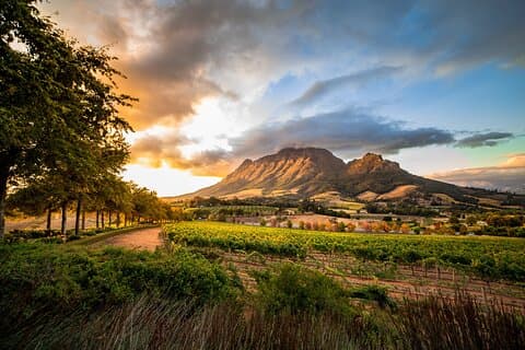 Tour privato di Cape Winelands da Città del Capo